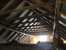 Prodej, dům jiný, 1000 m2 - foto 11